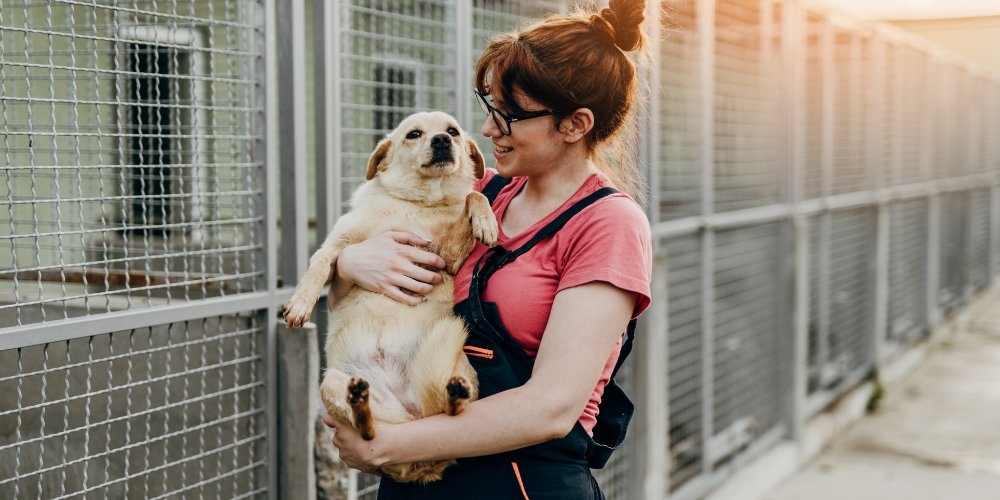 Primeros días con tu cachorro: guía esencial para una adopción responsable
