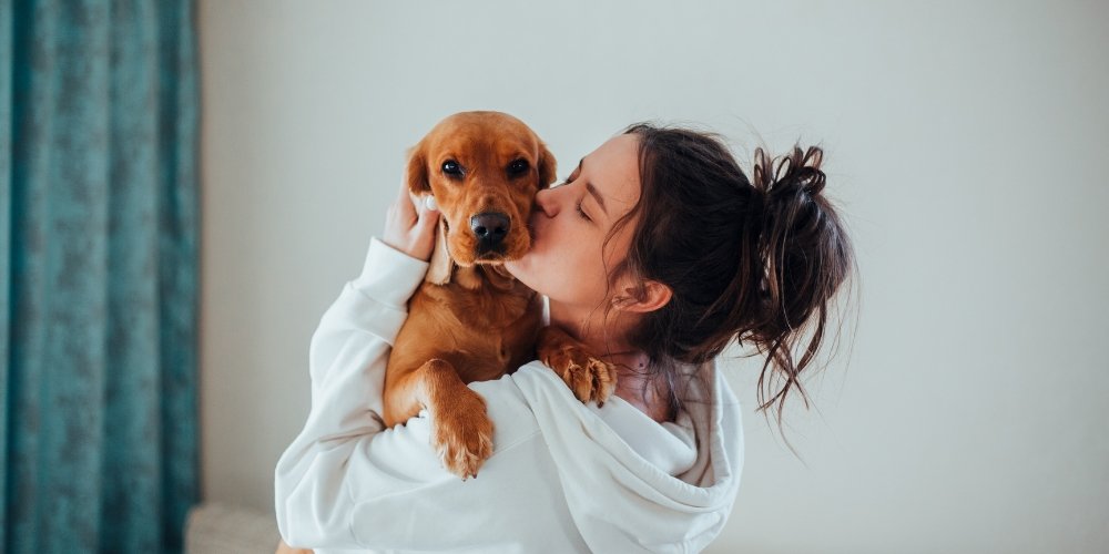 Ansiedad por separación en perros: causas, síntomas y soluciones efectivas