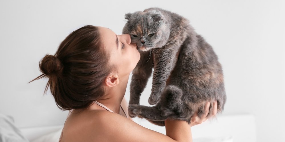 Cómo socializar a un gato adulto: claves para ganarse su confianza y mejorar su calidad de vida